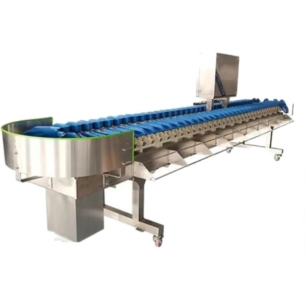 9 Practical Engineering Analysis of Rotary Solenoids in Fruit Sorting Machines