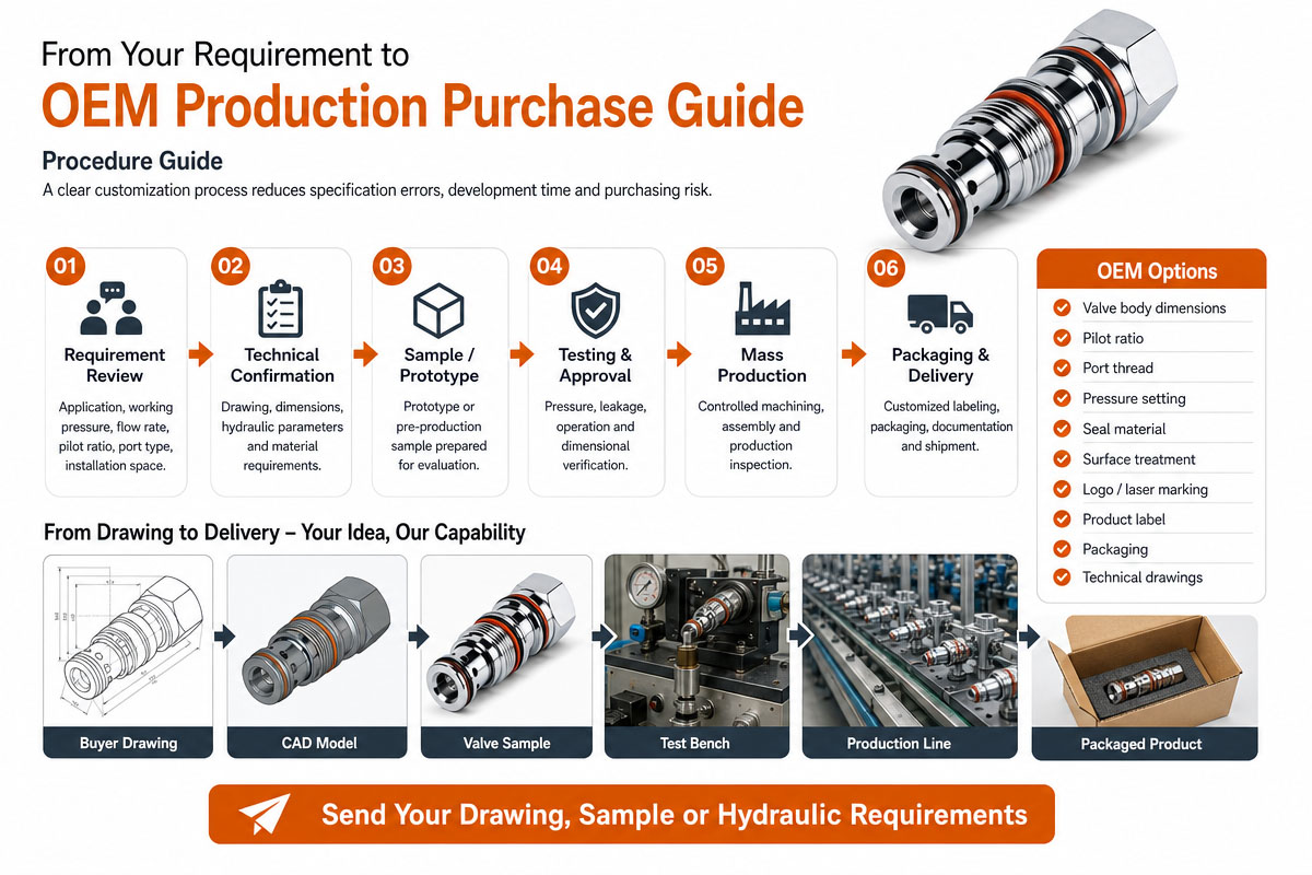 Pilot Operated Check Valve Custom OEM Procedure Guide