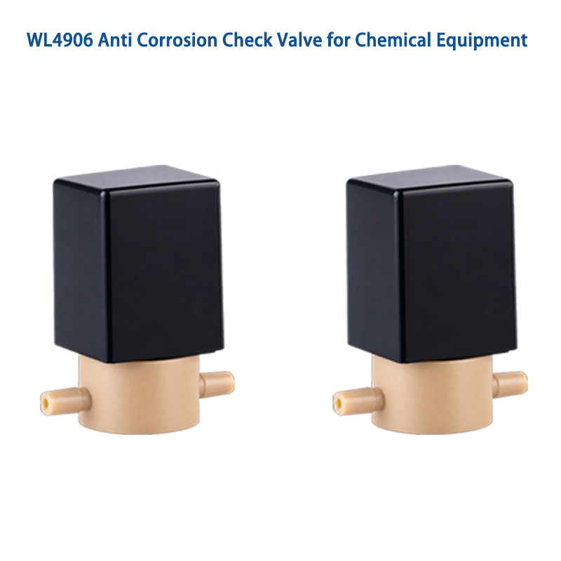 Anti Corrosion Check Valve for Chemical Fluid Systems