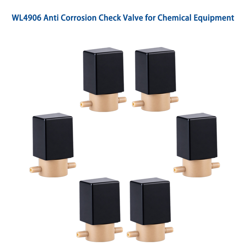 Anti Corrosion Check Valve for Reliable Flow Protection
