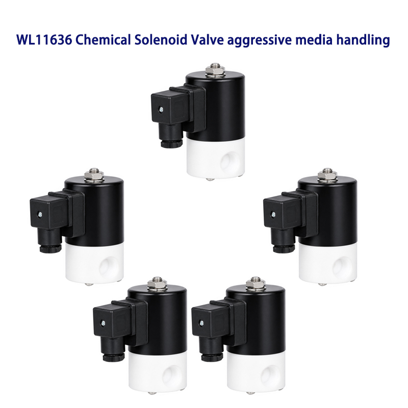 Chemical Solenoid Valve for chemical feed systems Guide