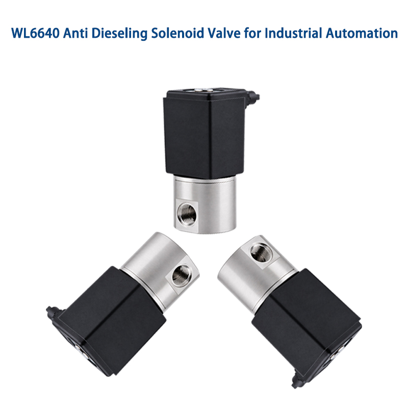 Custom Anti Dieseling Solenoid Valve for OEM Systems