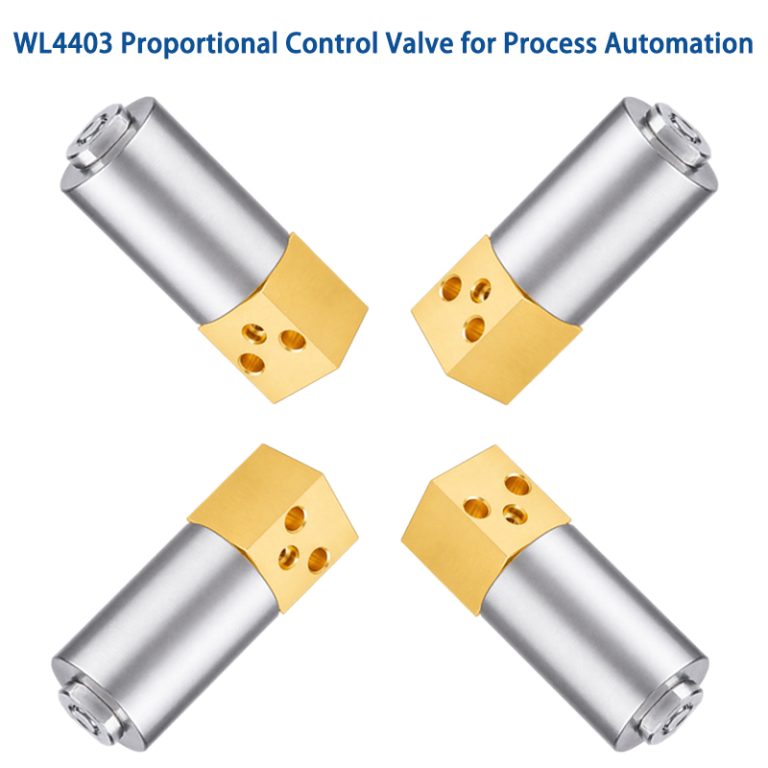 Custom Proportional Control Valve OEM Manufacturer