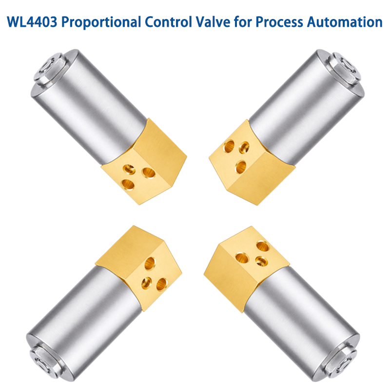 Custom Proportional Control Valve OEM Manufacturer