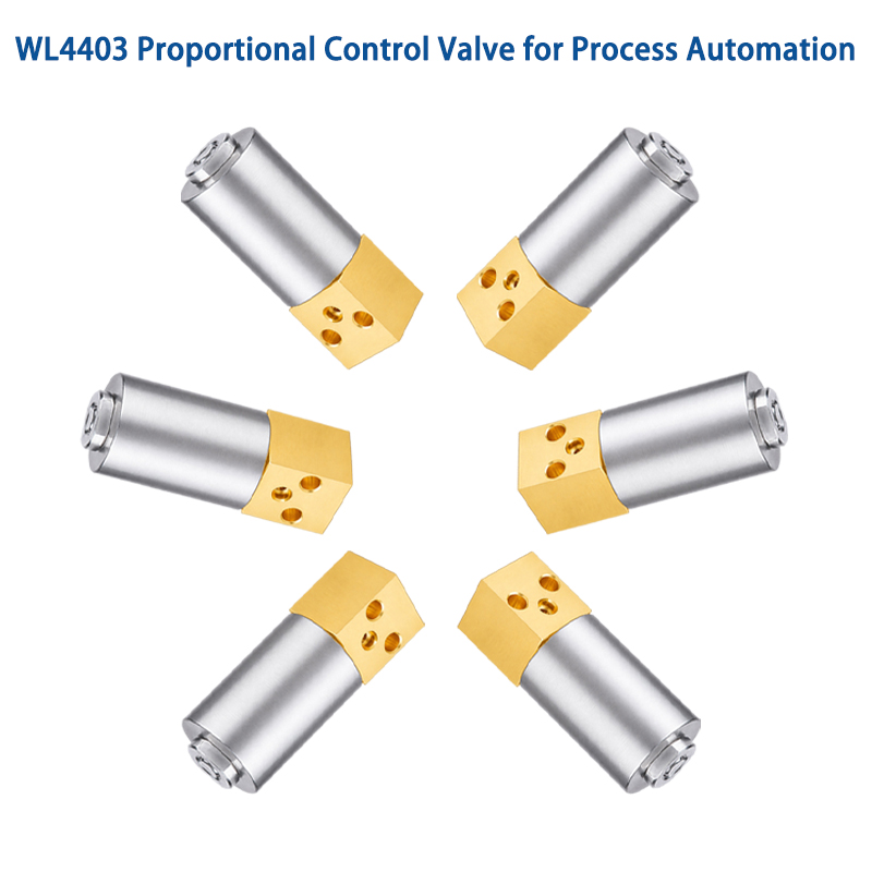 High Precision Proportional Control Valve Solutions