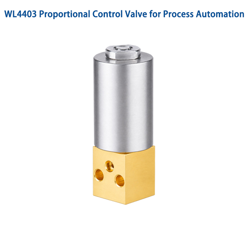 Proportional Control Valve Installation and Maintenance