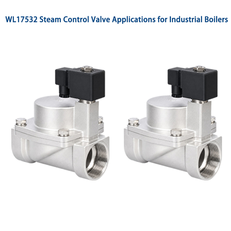 Steam Control Valve Installation Guide for Process Plants