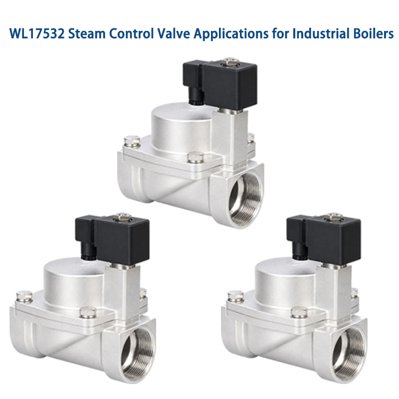 Steam Control Valve Troubleshooting for Industrial Users