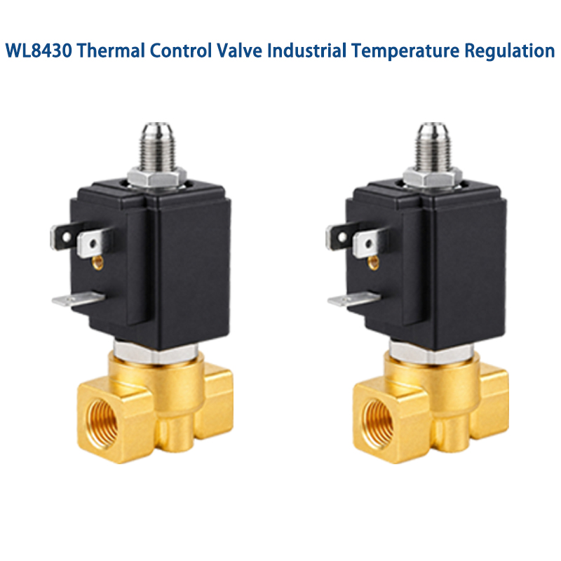 Thermal Control Valve Industrial Cooling System Control