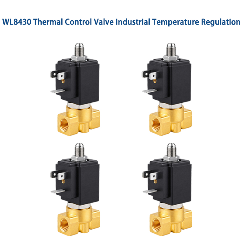Thermal Control Valve Industrial Process Heat Regulation