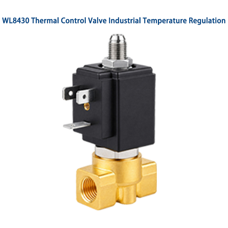 Thermal Control Valve Industrial Process Pressure Control