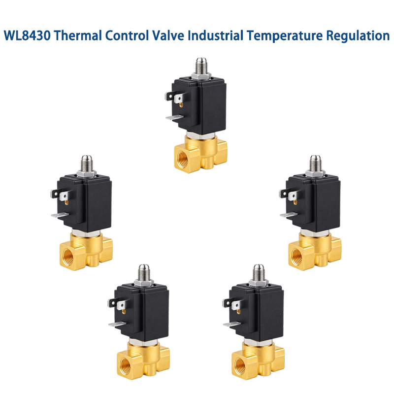 Thermal Control Valve Industrial Steam Heating Pressure