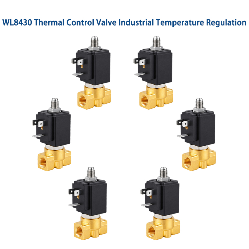 Thermal Control Valve Industrial Temperature Management