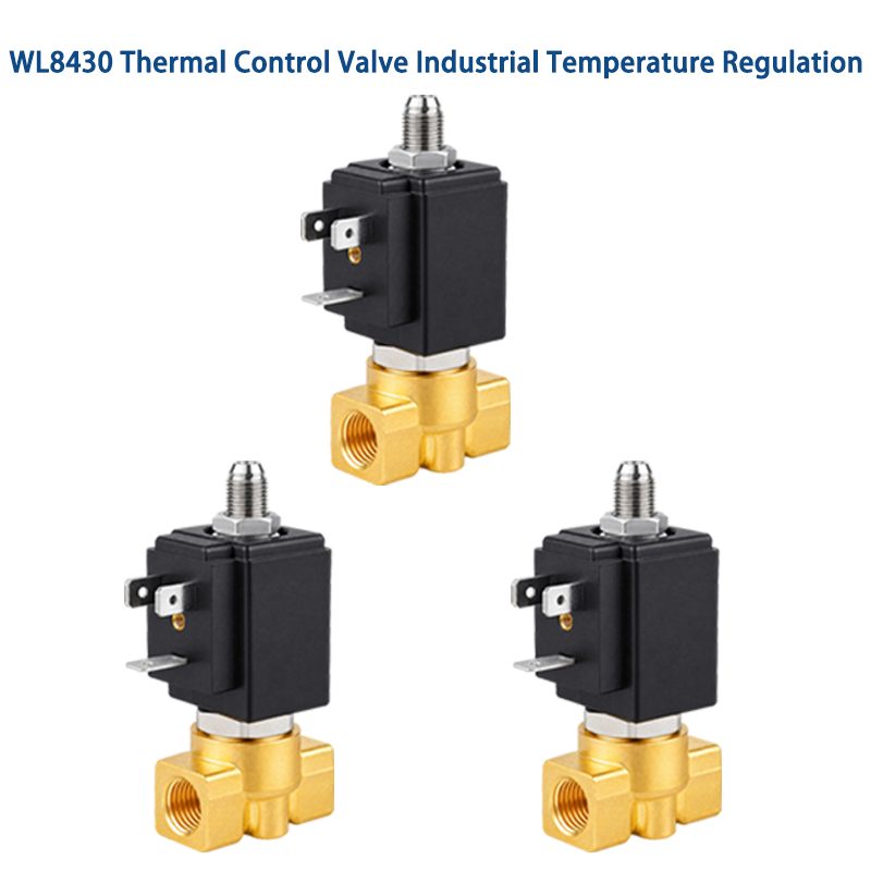Thermal Control Valve Industrial Thermal Process Control